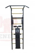 Plenergy 10252 Шведская стенка спортивная Plenergy Shadas black фото